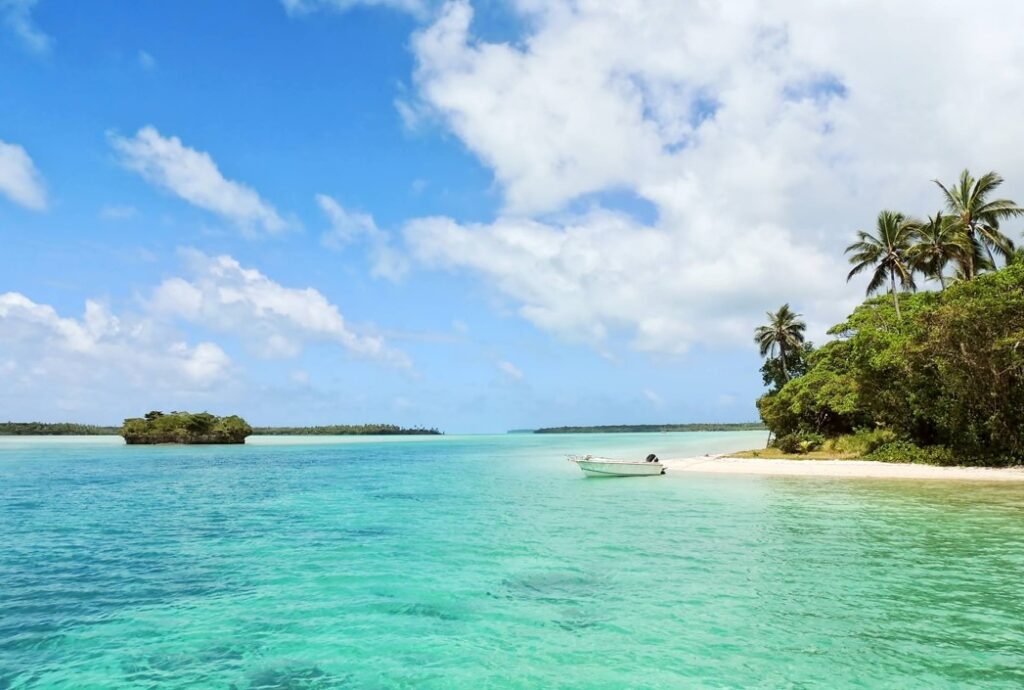 beach and ocean