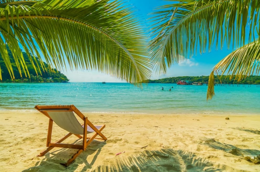 beach chair on the beach