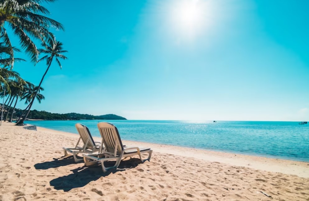 beach chairs on a beach