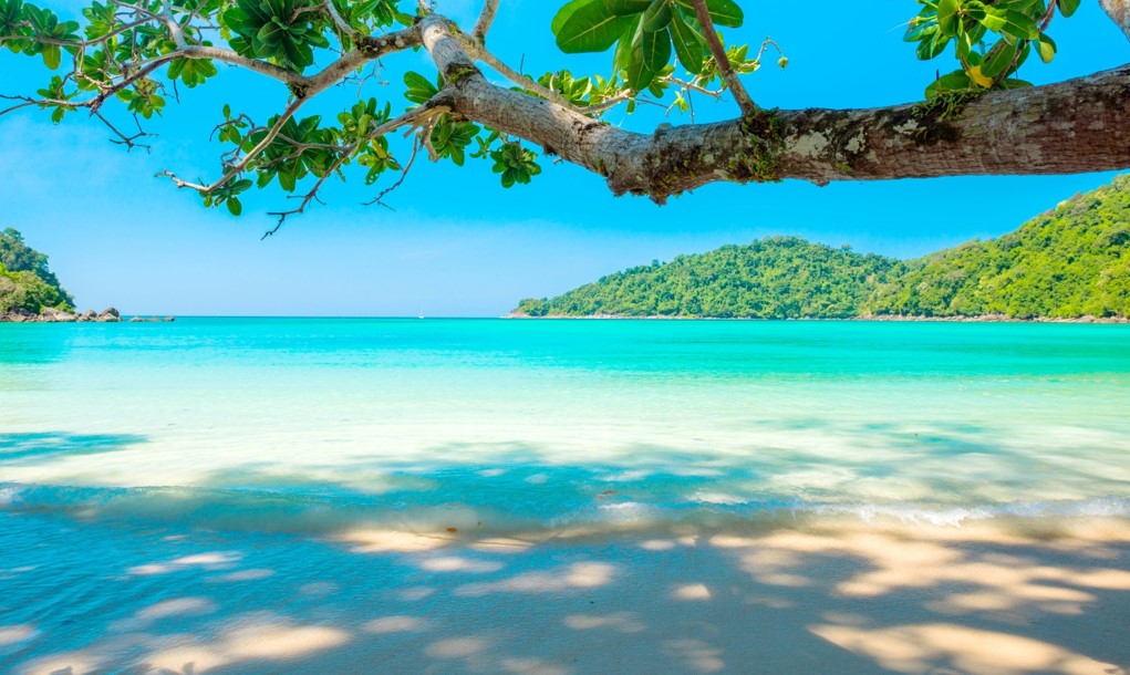 beach overlooking turquoise blue waters