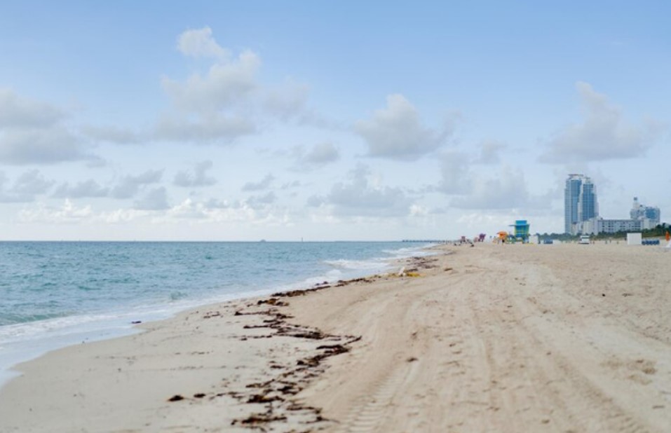 florida beach coastline