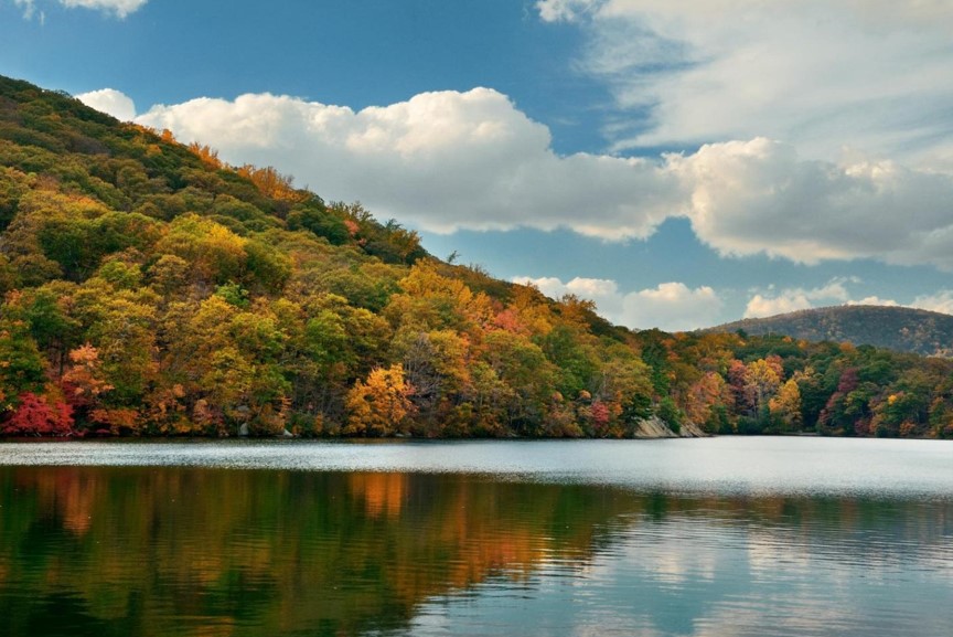 lake waters with autumn foliage in the background