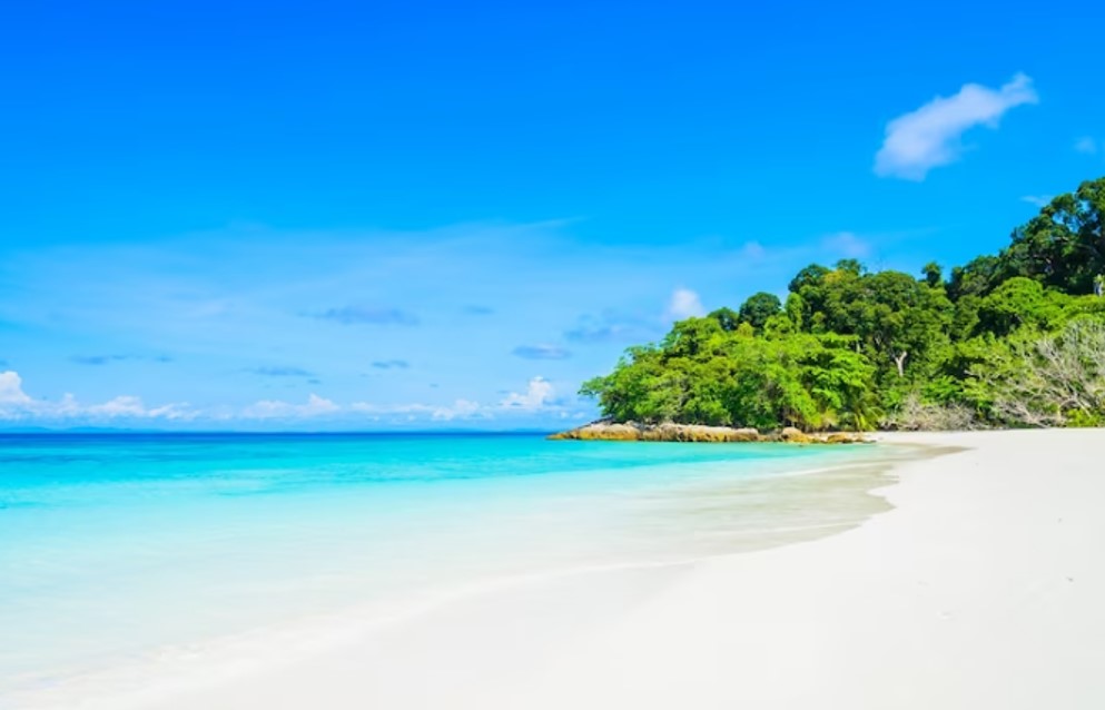 ocean and green foliage in the background