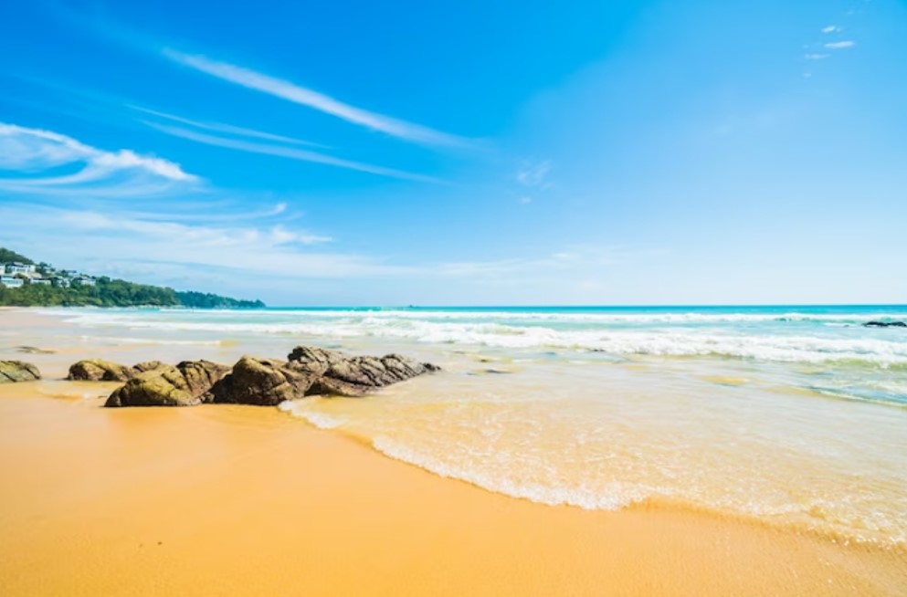 ocean shore with brown sand