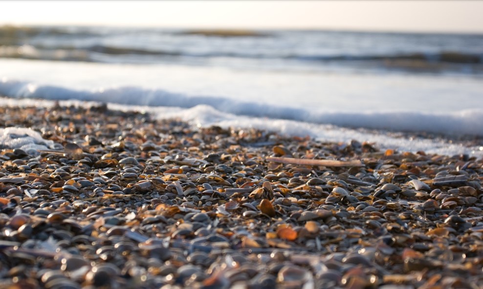 pebbles on the beach