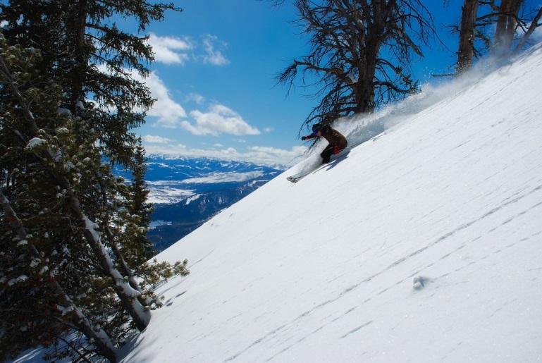 person cross-country skiing