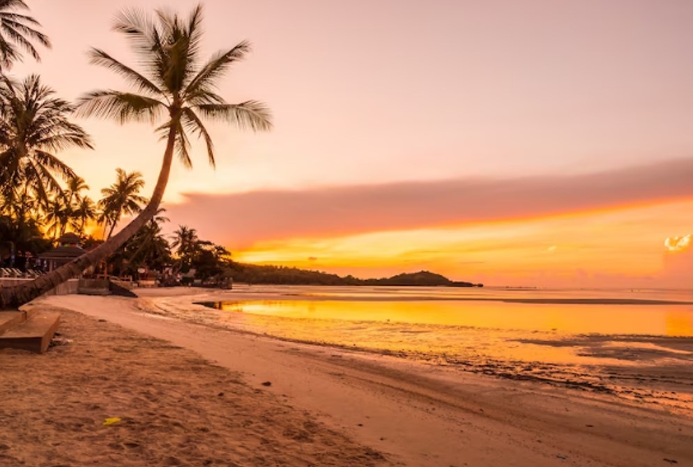 tropical beach at sunset