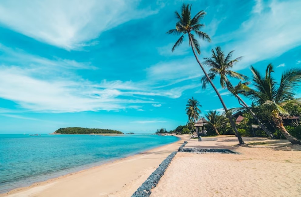 tropical beach with sand and sea