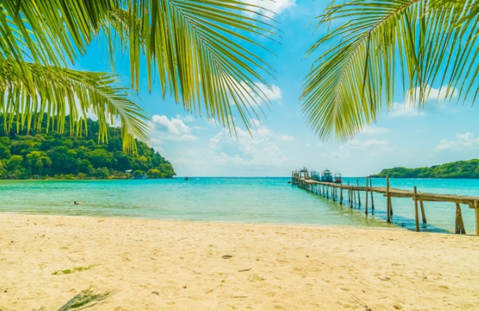 tropical beachfront with a dock