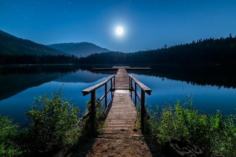 wooden dock in a lake