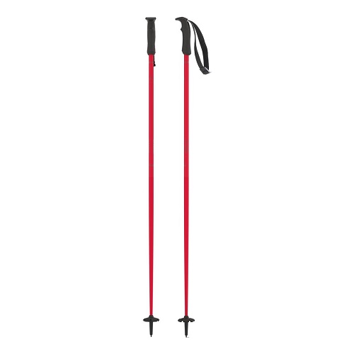 Atomic AMT Aluminum Ski Poles